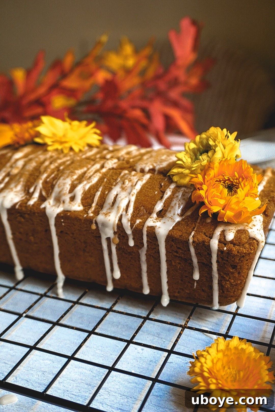 Divine Vegan Pumpkin Bread 2 A beautifully baked pumpkin bread loaf, ready to be sliced and served.
