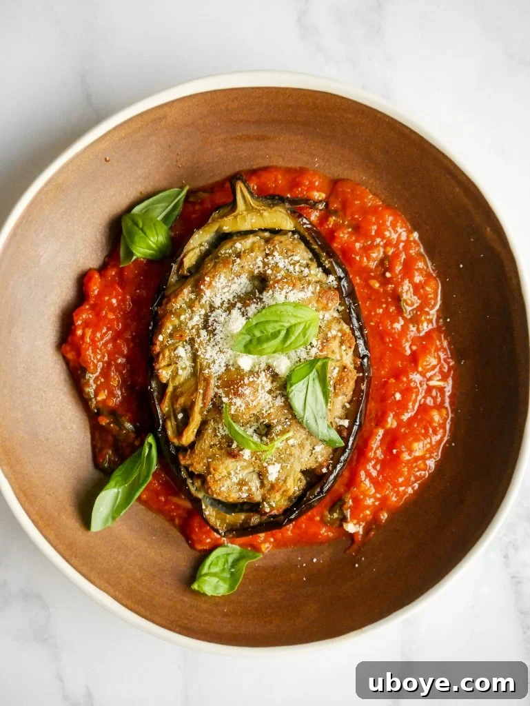 Golden-brown stuffed eggplant halves artfully arranged, ready to be served.