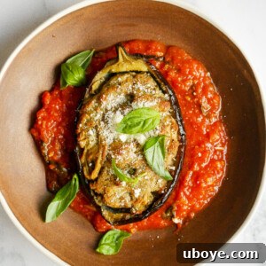 A top-down view of the prepared stuffed eggplants before baking.