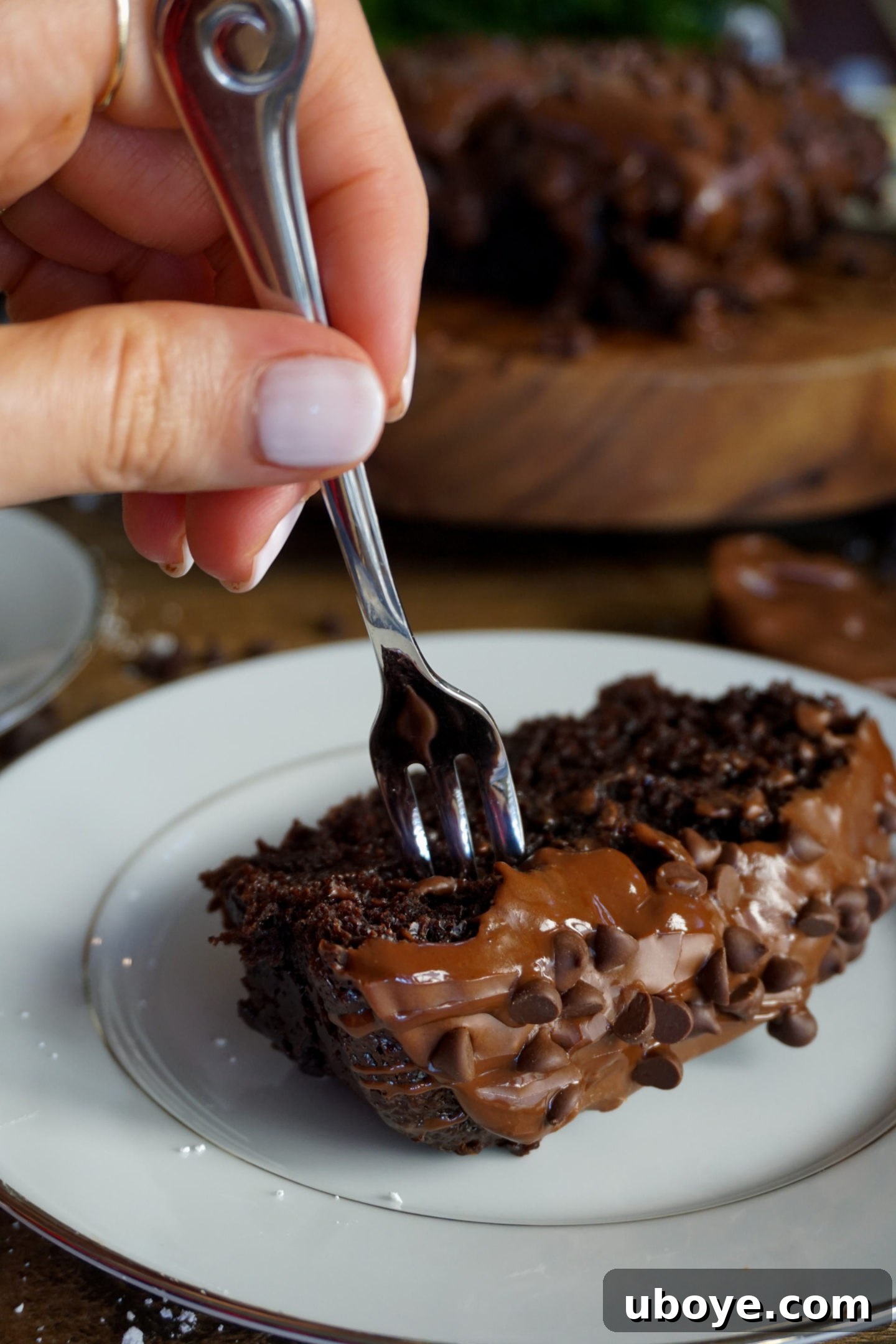 Guilt-Free Chocolate Bliss Cake 3 Moist vegan chocolate cake slices on a plate with frosting