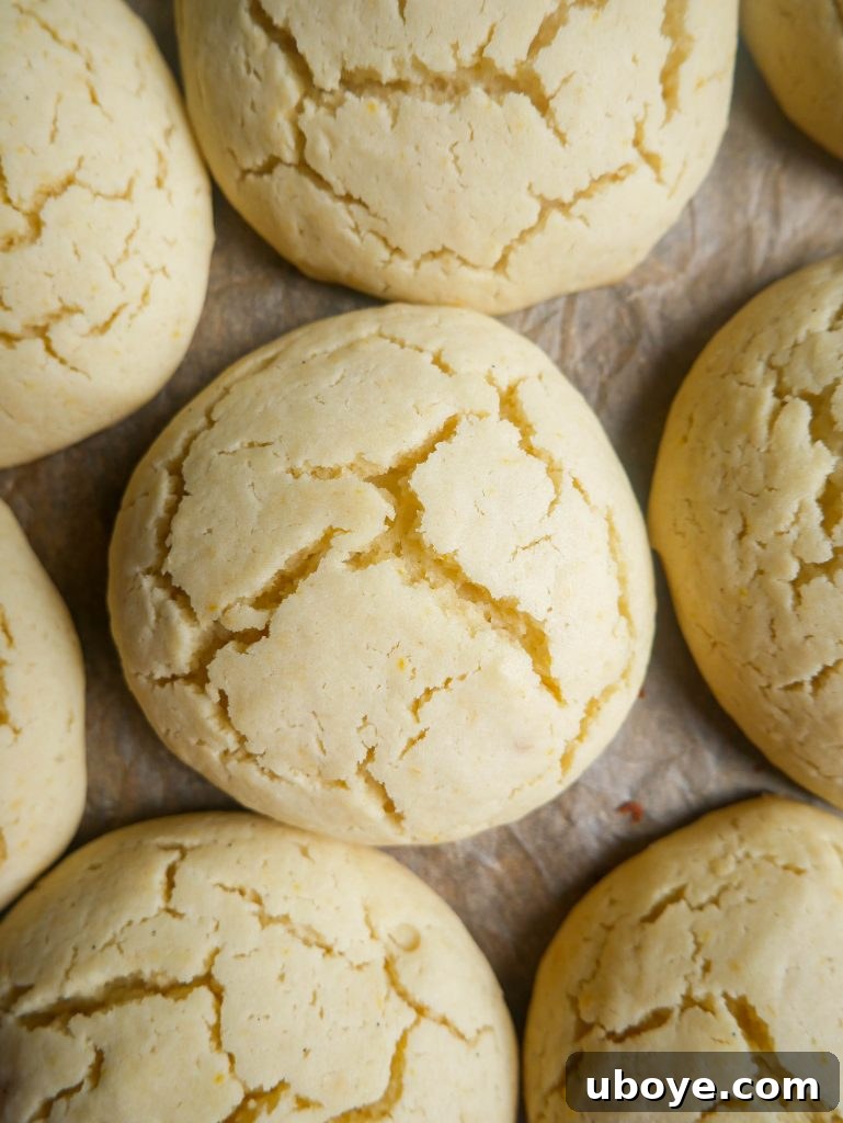 Platter of freshly baked lemon olive oil cookies