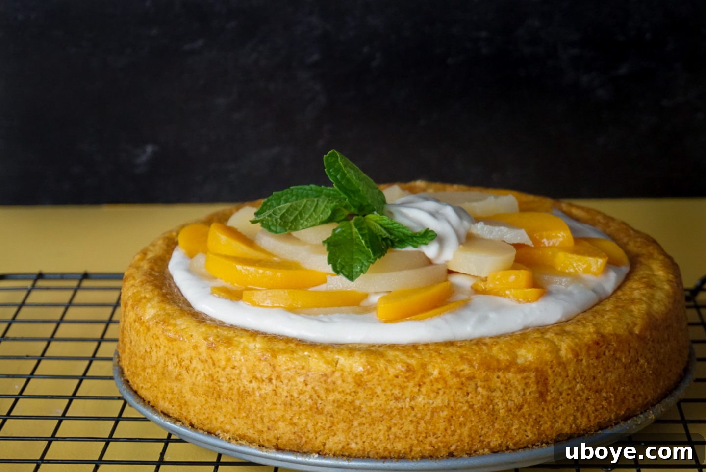 Close-up of a slice of Pear-a-Sprite vegan cake with a peach slice on top.