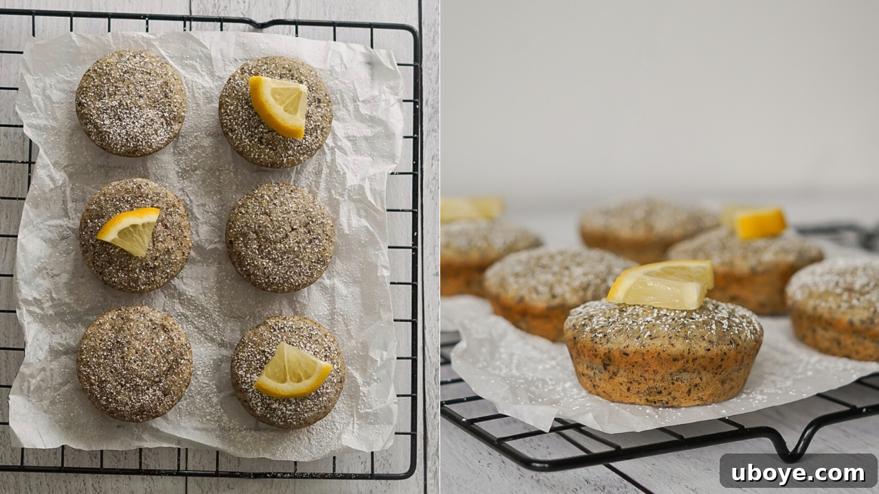Close-up of fluffy vegan Earl Grey cake crumb
