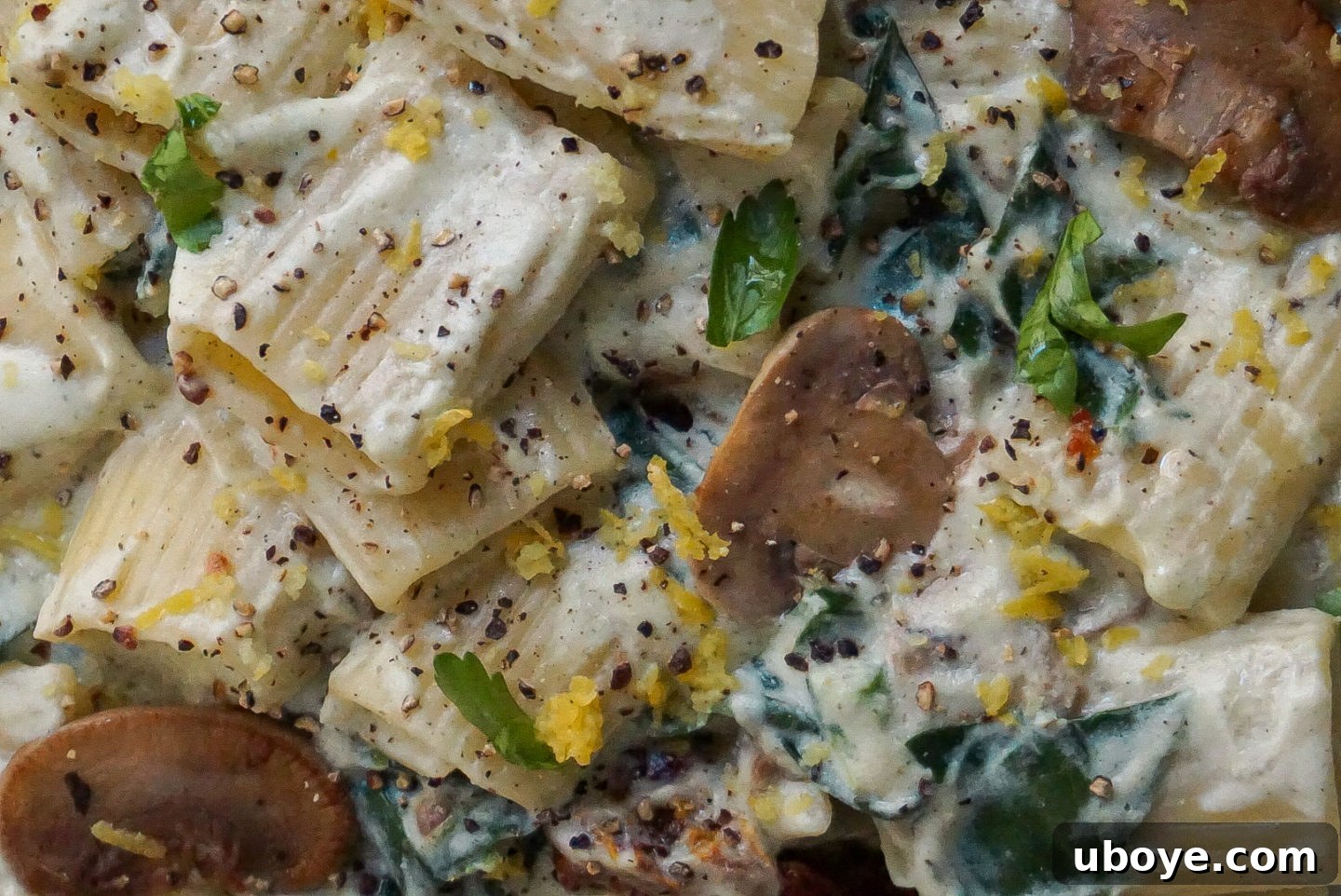 Velvety Lemon Fettuccine Alfredo 6 A vibrant bowl of creamy lemon pasta with vegan parmesan, fresh herbs, and lemon wedges, ready to be enjoyed.