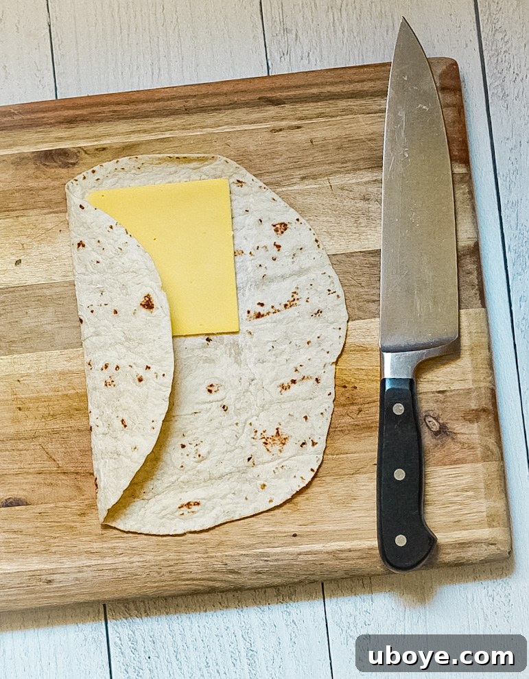 Plant-Powered Toaster Quesadillas 11 Image demonstrating the placement of vegan cheese slices on the folded tortilla.