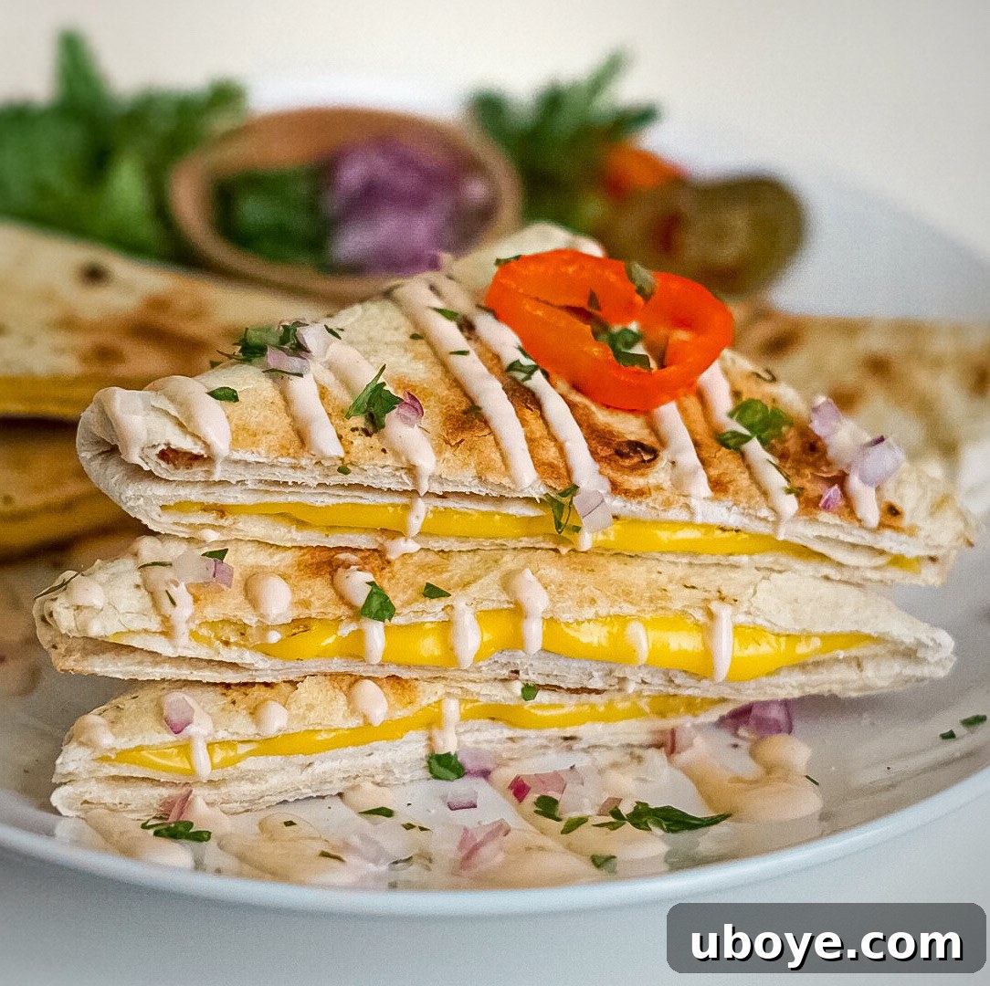 Plant-Powered Toaster Quesadillas 3 Close-up of a perfectly toasted vegan quesadilla, golden brown and ready to eat.