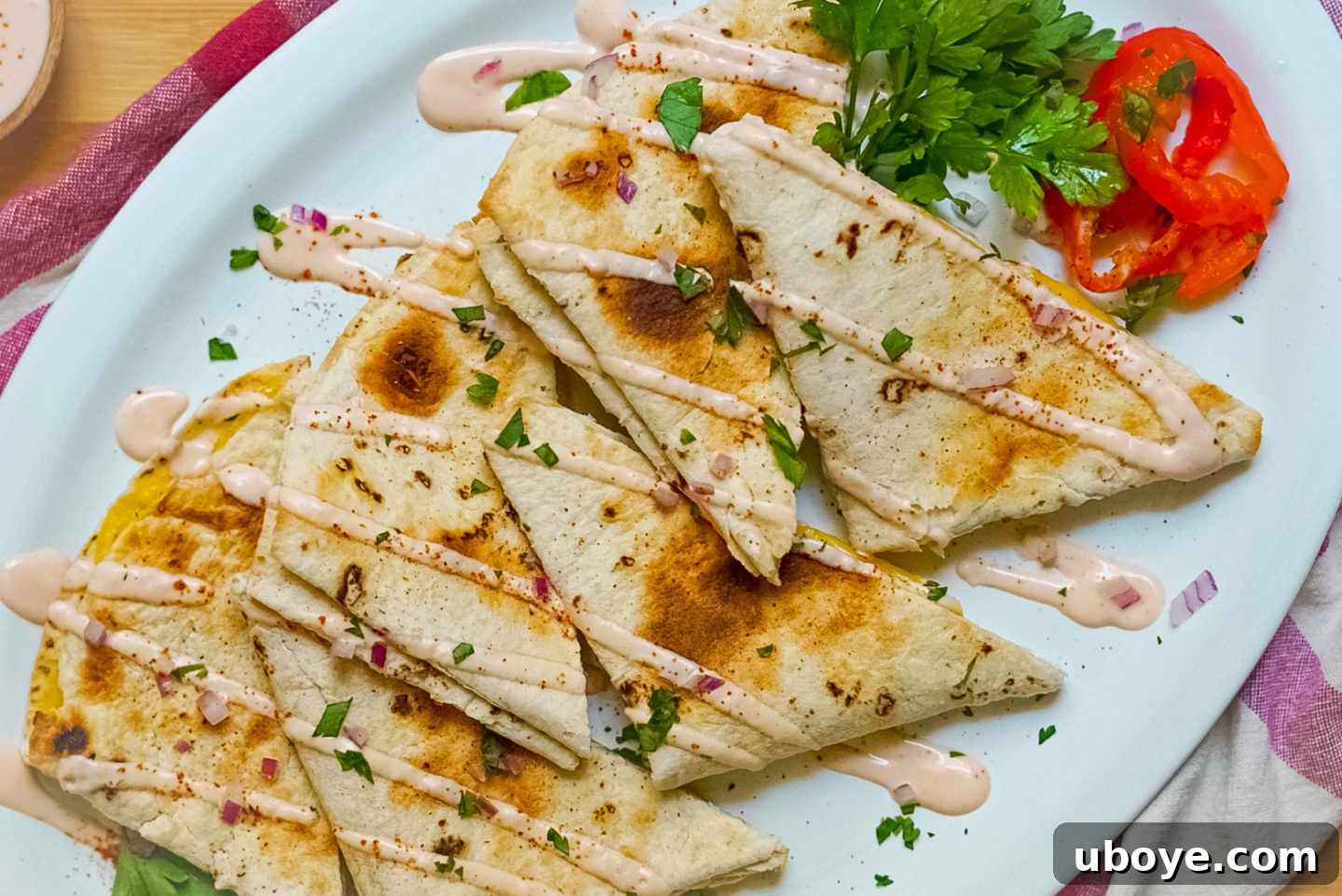 Plant-Powered Toaster Quesadillas 4 A freshly made toaster quesadilla sliced into wedges, revealing melted vegan cheese inside, with toppings.