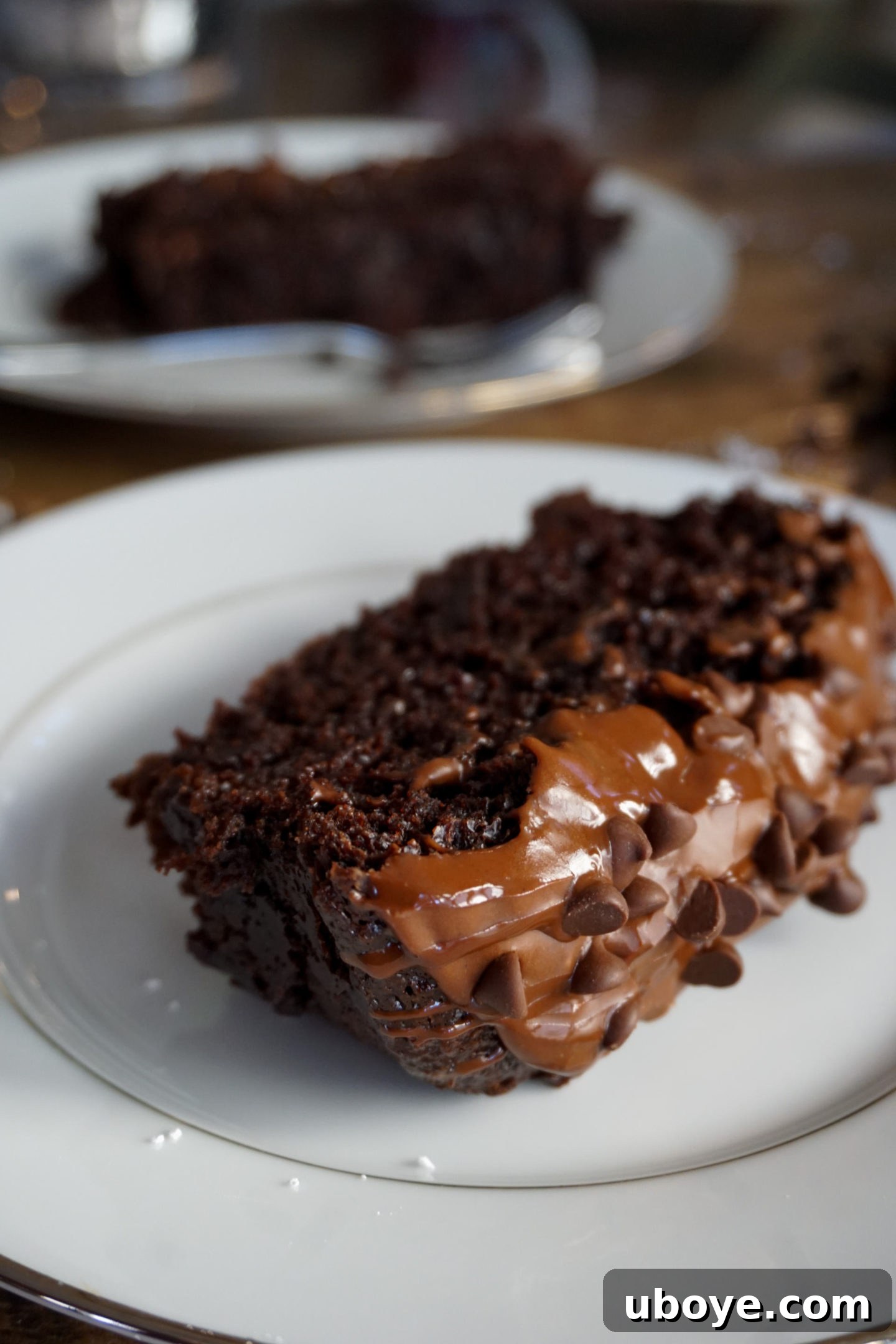 Vegan Box Cake Hack 6 A slice of rich Vegan Triple Chocolate Cake, demonstrating the success of flax egg as a binder.