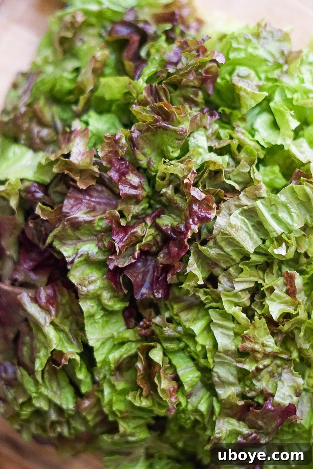 Salad ingredients laid out, emphasizing the fresh produce