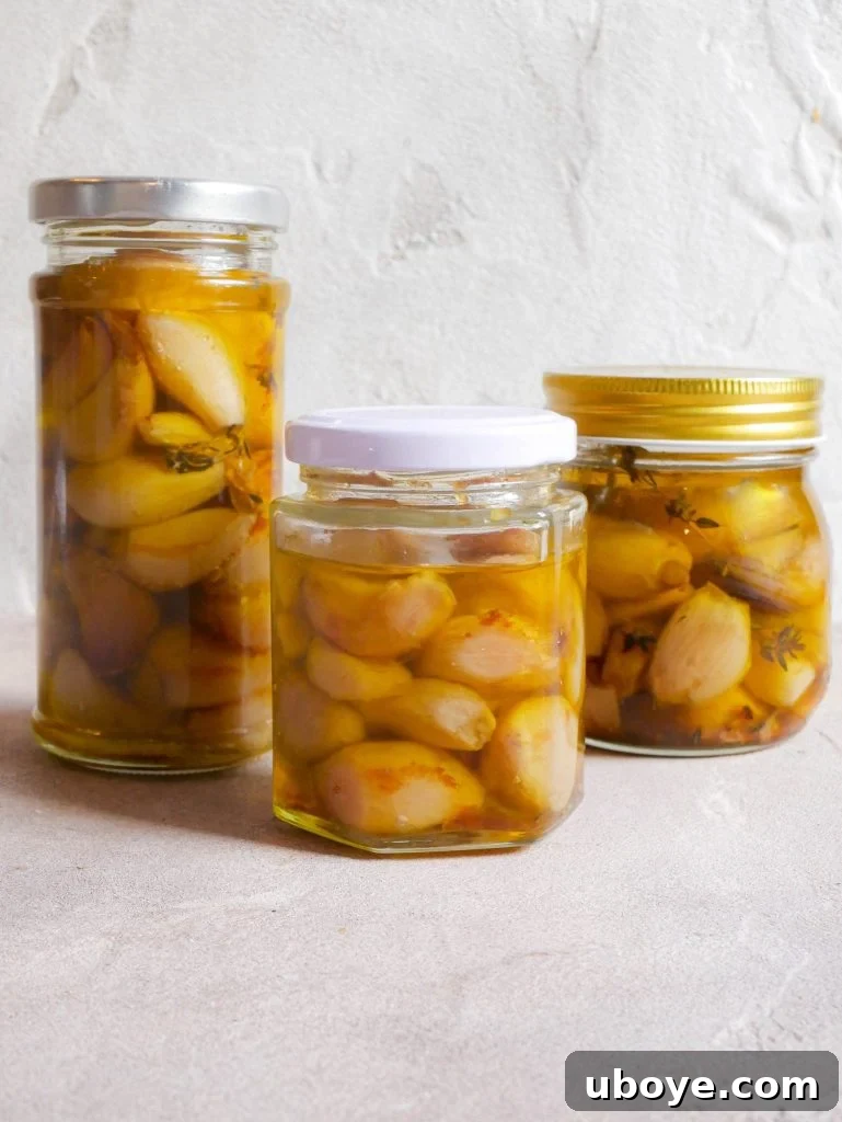 Three sterilized glass jars filled with perfectly golden garlic confit and fragrant olive oil, neatly arranged and ready for immediate refrigeration.