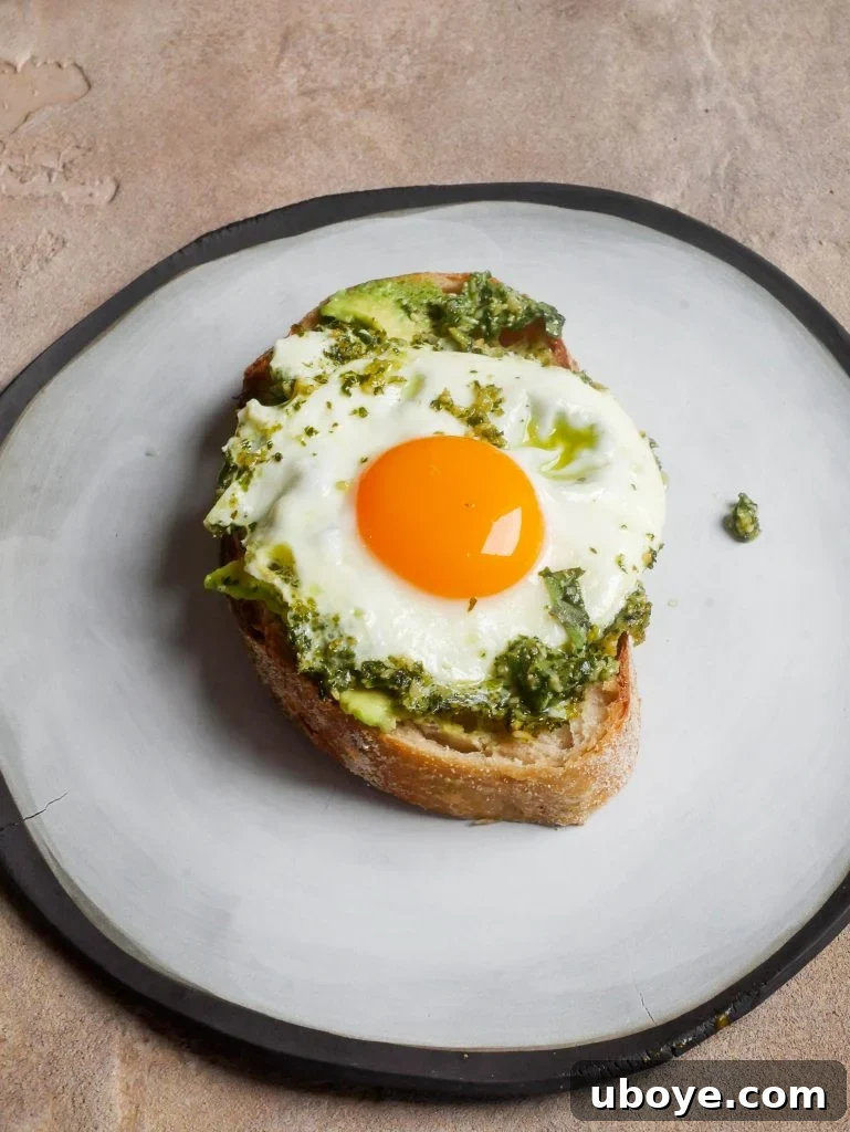 Pesto-Kissed Eggs 2 Pesto Eggs served on sourdough toast with mashed avocado and goat cheese