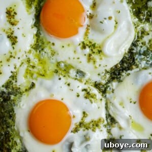 Cooked Pesto Eggs on a plate, ready to be served