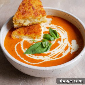 Ultimate Comfort: Roasted Tomato Soup with a Golden Cheese Toastie 7 A delicious roasted tomato soup, rich and creamy, served with a crispy cheese toastie on the side.
