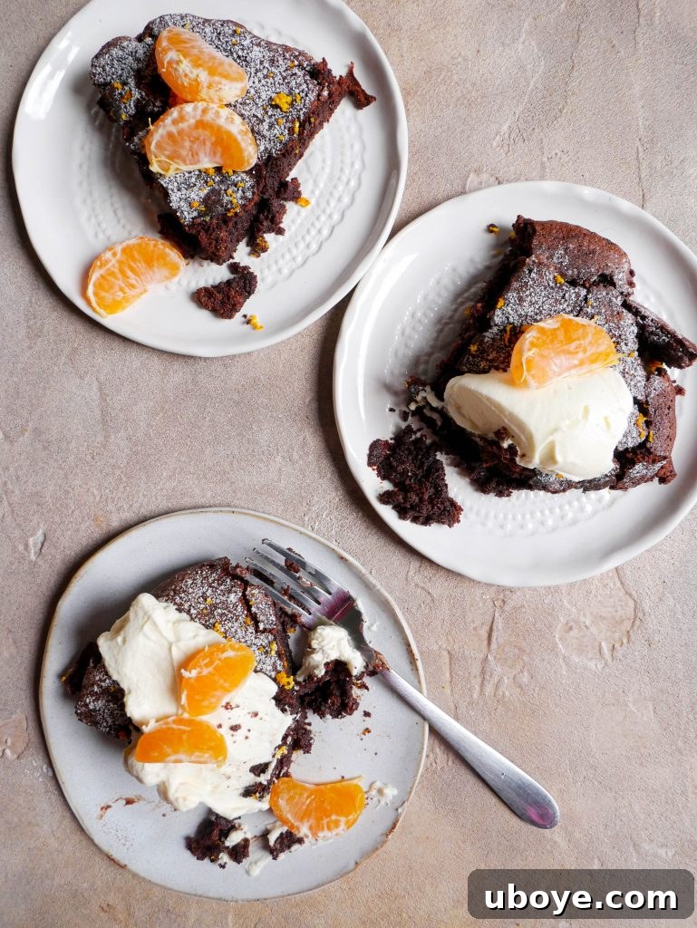 Another view of the chocolate fudge clementine olive oil cake