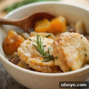 A detailed close-up of the finished vegan pumpkin and potato stew, ready for serving. The image highlights the rich texture of the gravy, the tender pumpkin and potato chunks, and the hearty lentils, emphasizing its wholesome appeal.
