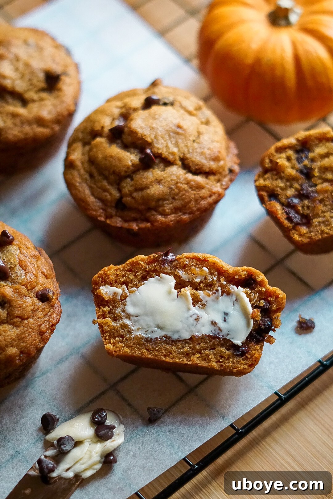 Perfectly Spiced Vegan Pumpkin Muffins 2 Deliciously moist vegan pumpkin muffins, perfect for fall.
