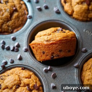 Perfectly Spiced Vegan Pumpkin Muffins 8 Best Ever Vegan Pumpkin Muffins