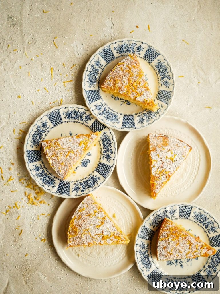Luscious Lemon Butter Cake 4 A beautifully baked lemon butter cake, delicately dusted with icing sugar and fresh lemon zest, on a cooling rack
