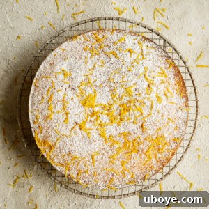 Luscious Lemon Butter Cake 5 Lemon Butter Cake