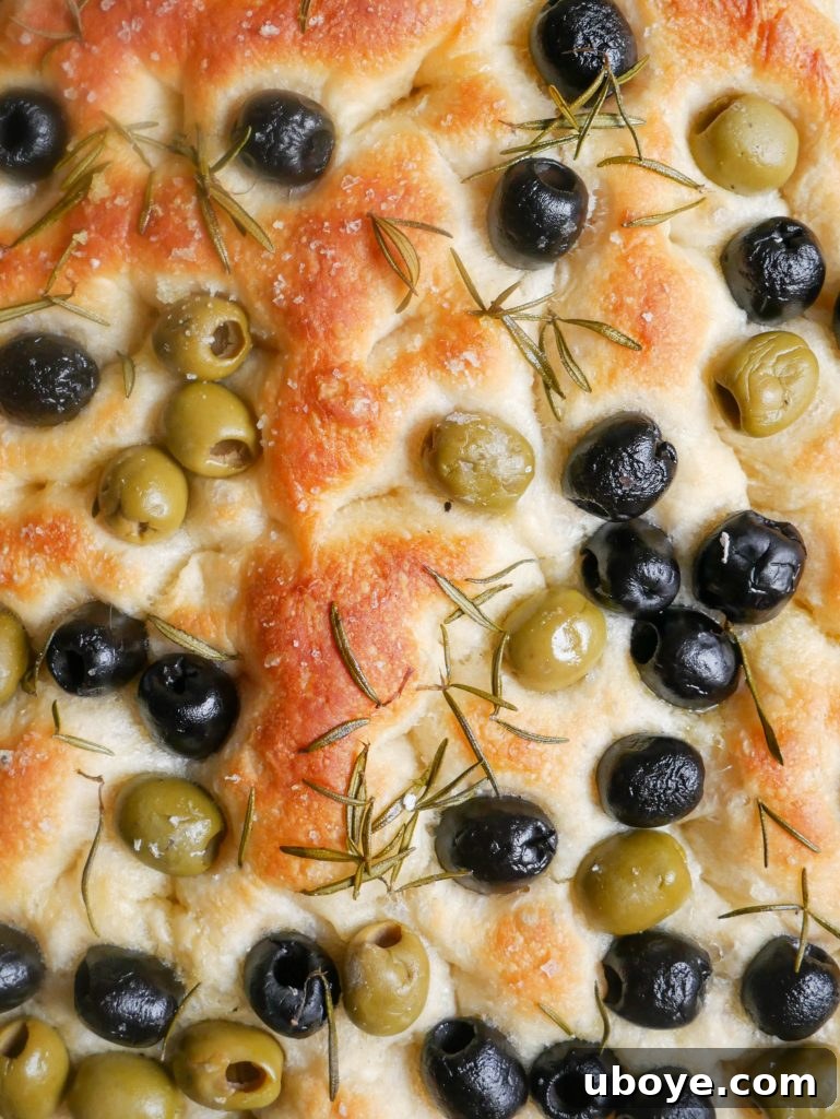 An assembled Crispy Eggplant and Roasted Capsicum Focaccia Sandwich, cut in half to show layers