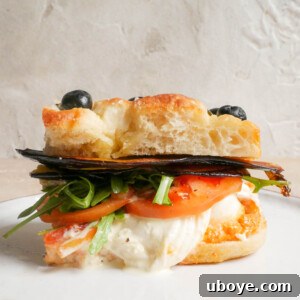 Crispy Eggplant & Roasted Capsicum Focaccia Sandwich hero shot