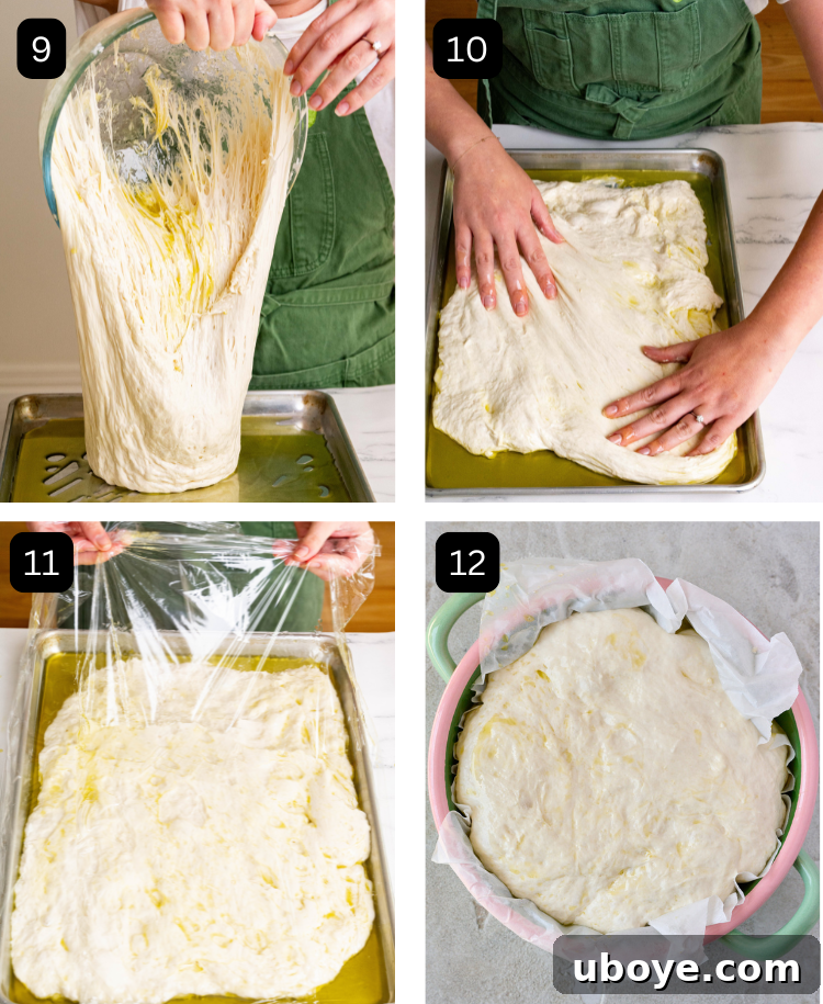 A series of four images showing the dough preparing for the second proof: dough transferred to a baking tray, gently stretched, covered with plastic wrap, and finally, fully proofed and risen in a green round tin.