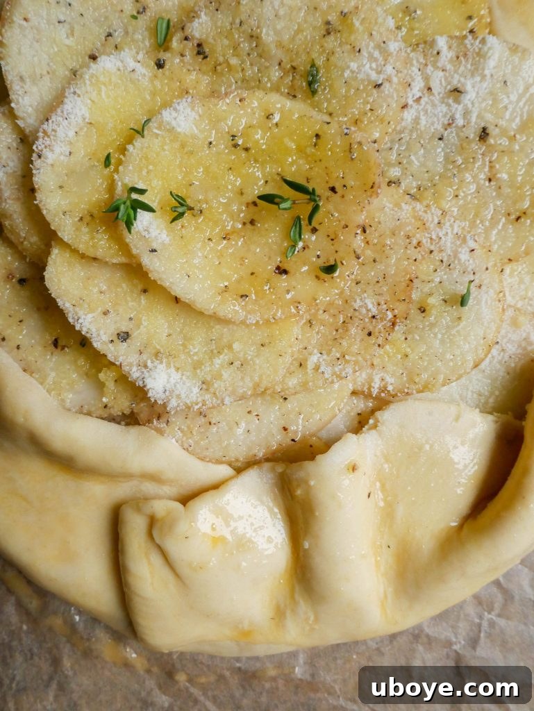 Golden Potato Tart with Garlic Confit and Flaky Sour Cream Pastry 7 A perfectly baked slice of the savory potato tart, revealing the layers of garlic confit pastry and the cheesy potato filling.