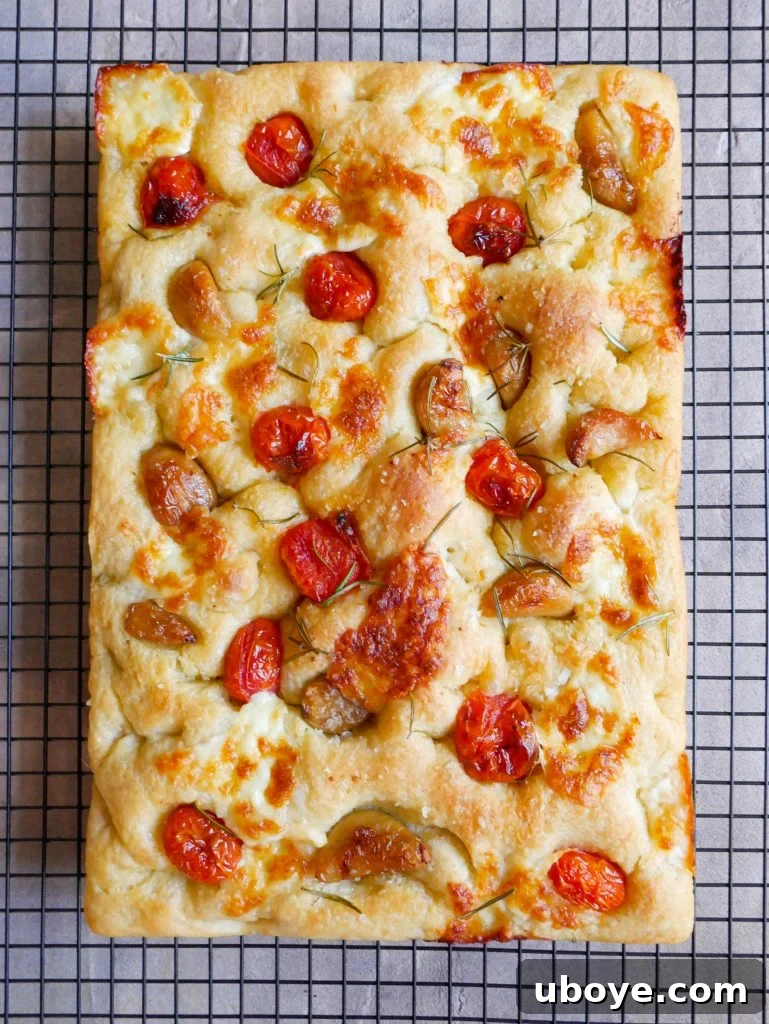 Delicious cheesy focaccia with tomato and garlic confit, freshly baked.