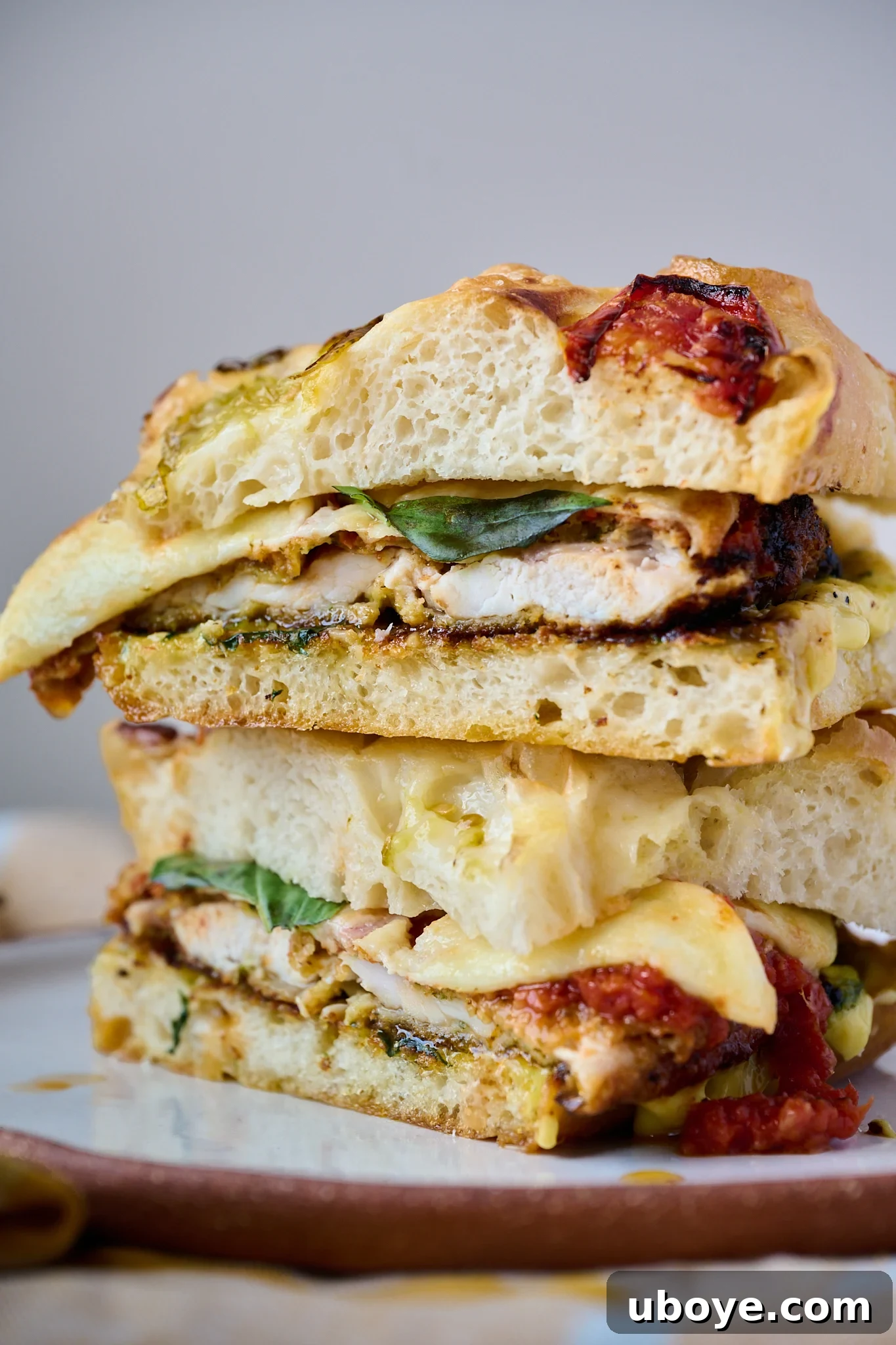 Chicken parm sandwich that has been sliced in half and is sitting on plate. You can see all elements of the sandwich in this photo. 