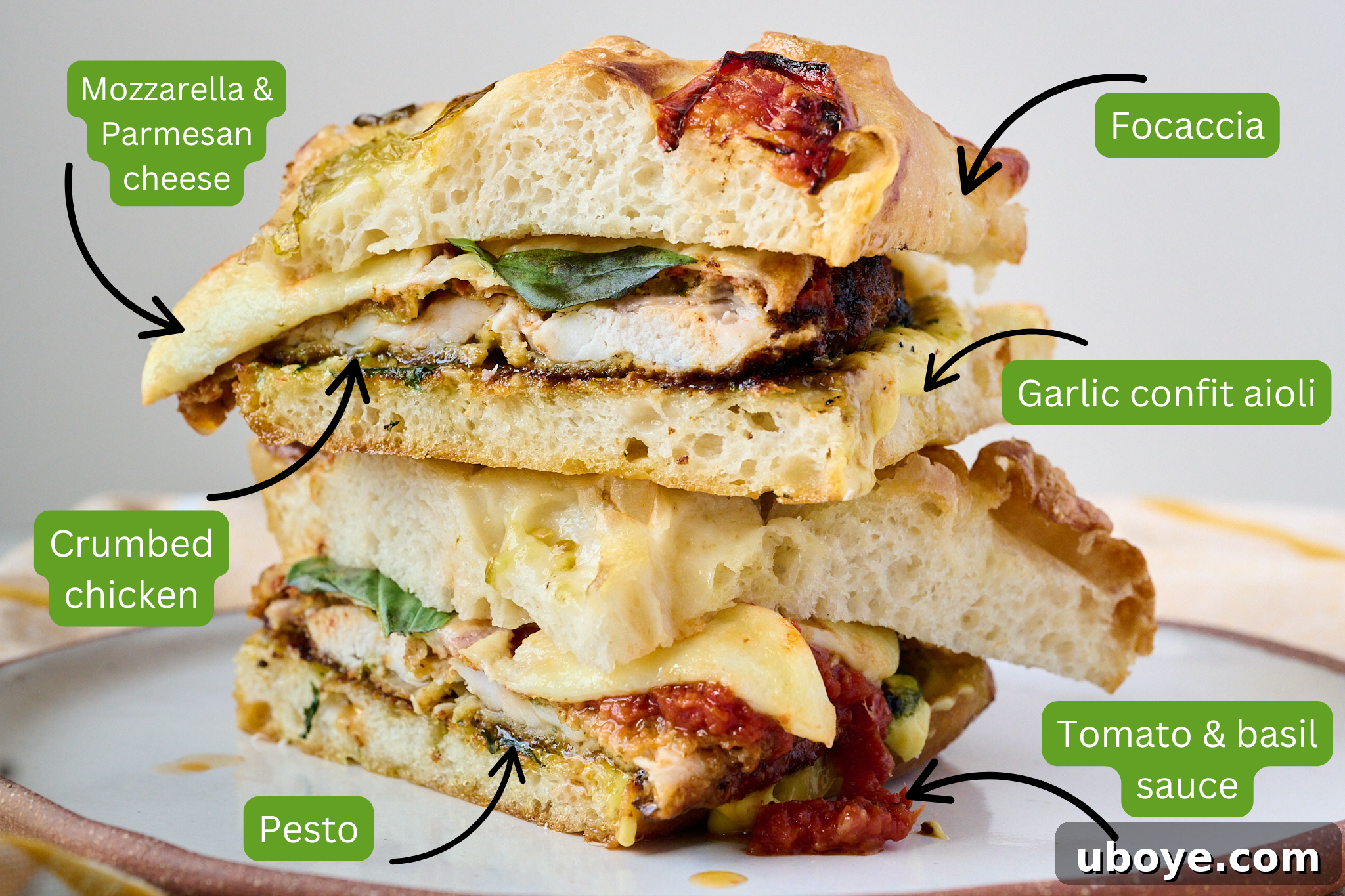 Chicken parm sandwich that has been sliced in half and is sitting on plate. You can see all elements of the sandwich in this photo. There are arrows pointing to all ingredients including focaccia, garlic confit aioli, tomato and basil sauce, pesto, crumbed chicken, mozzarella and parmesan cheese.