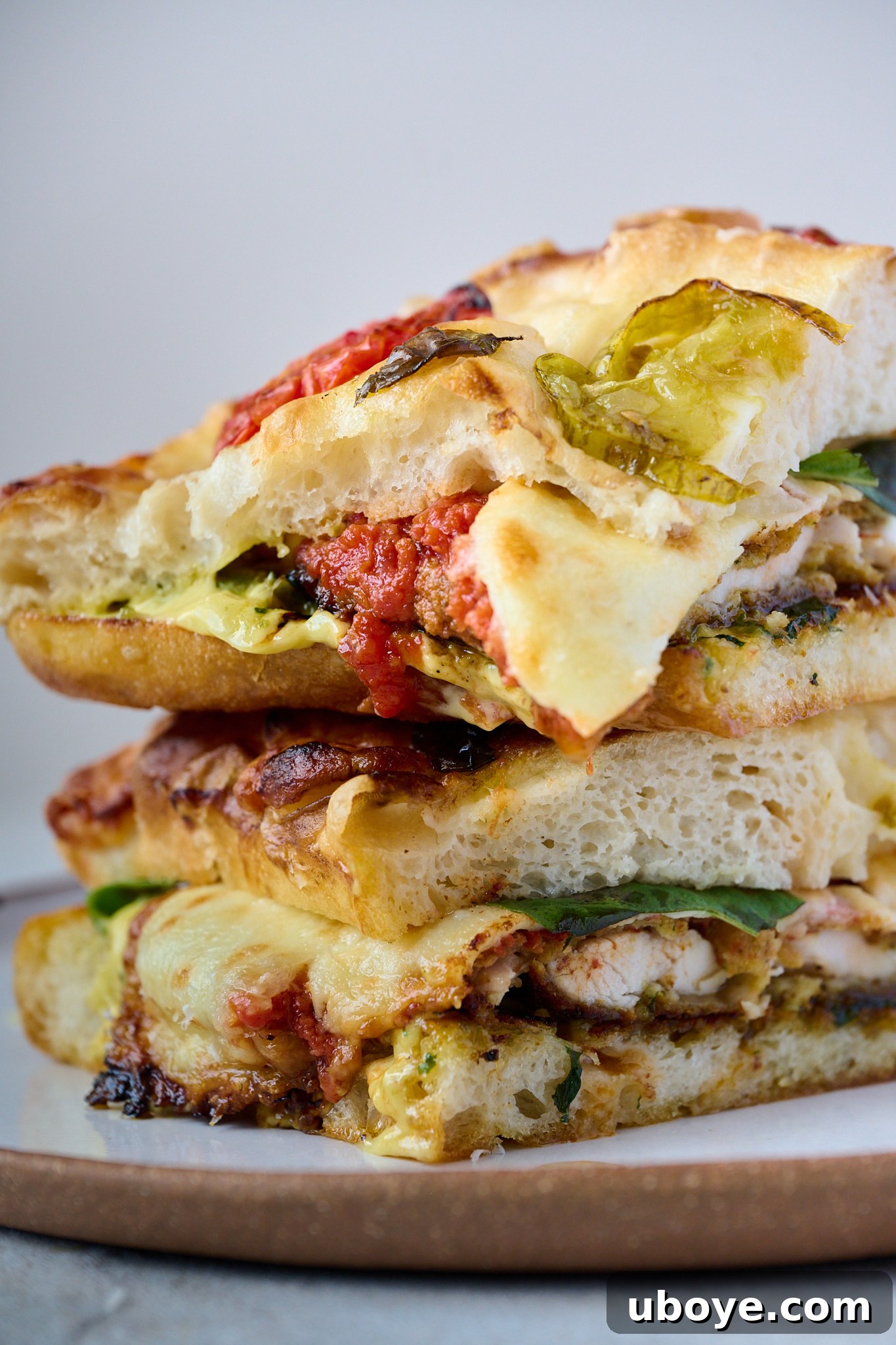 Chicken parm sandwich that has been sliced in half and is sitting on plate. You can see all elements of the sandwich in this photo. 