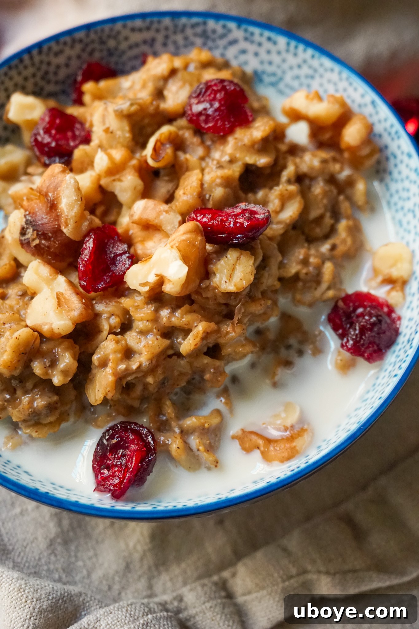 Festive Gingerbread Oatmeal 2 A beautifully styled bowl of gingerbread oatmeal, topped with toasted walnuts, dried cranberries, and a splash of milk, perfect for a cozy morning.
