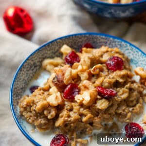 Delicious Christmasy Gingerbread Oatmeal in a bowl, ready to serve.