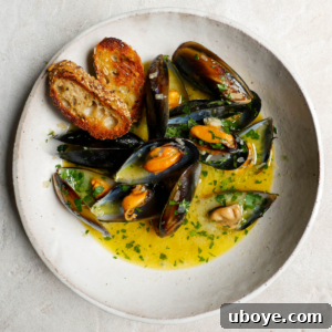 Delicious White Wine Butter Mussels, a classic Belgian dish, in a bowl with bread.