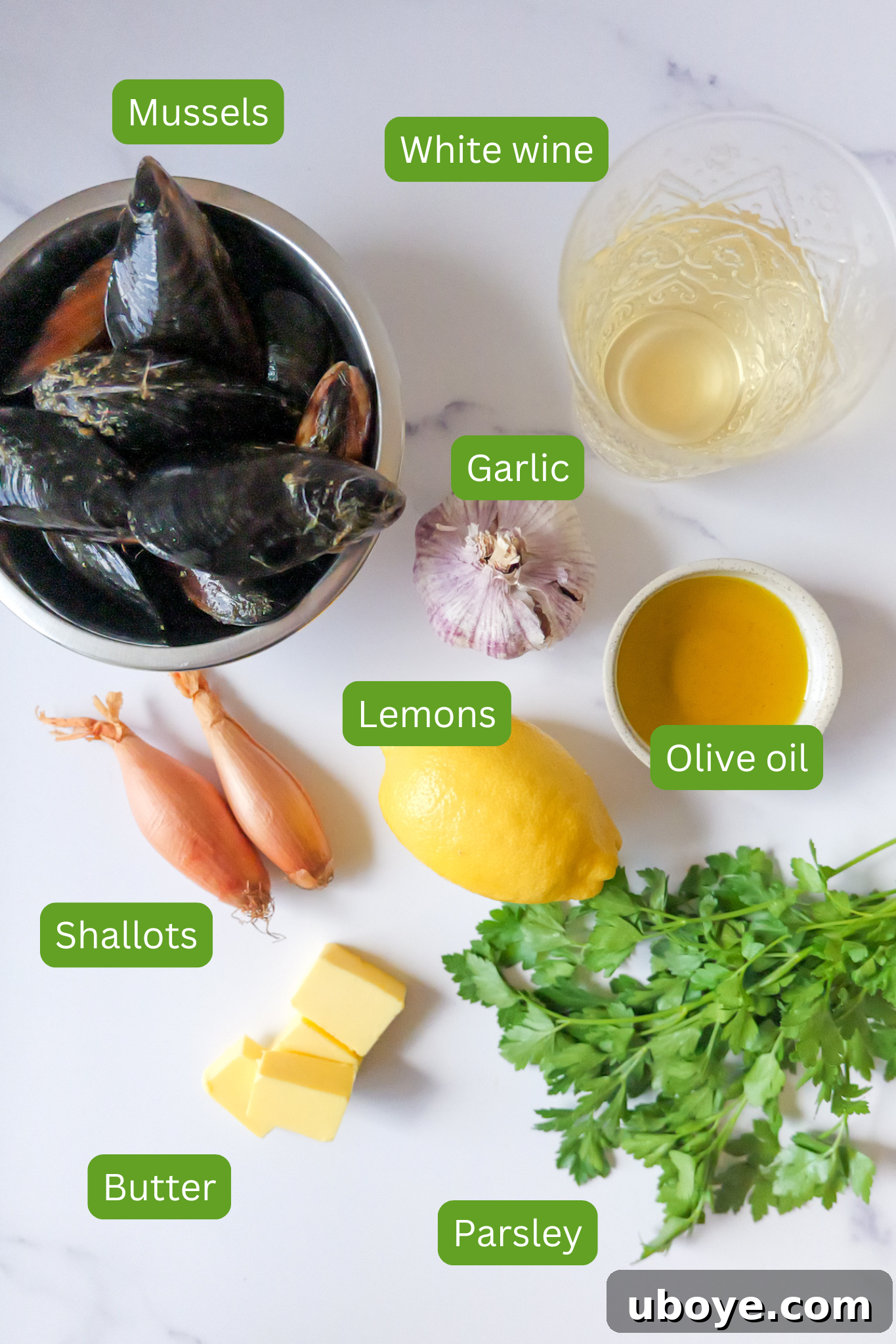 Aromatic White Wine Butter Mussels 3 A beautifully arranged spread of fresh ingredients for white wine butter mussels, including plump mussels, shallots, garlic cloves, lemons, fresh parsley, a bottle of white wine, olive oil, and a block of butter.