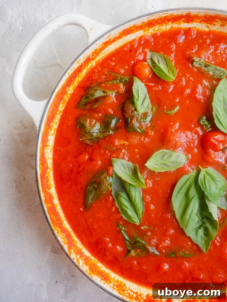 Close-up shot of cooked tomato and basil sauce