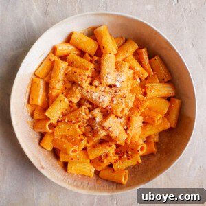 Finished plate of Pasta all Vodka