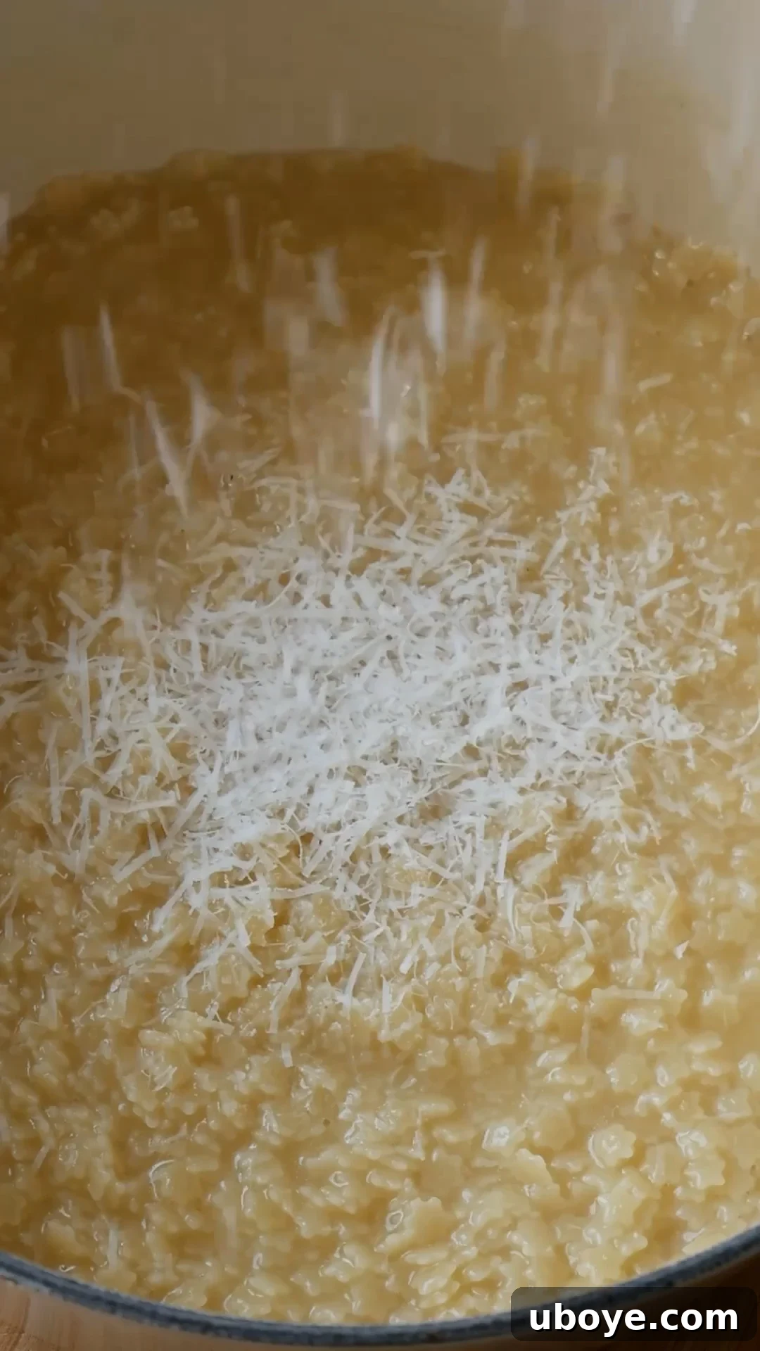 Cooked pastina in a pot being seasoned with grated Parmesan cheese.