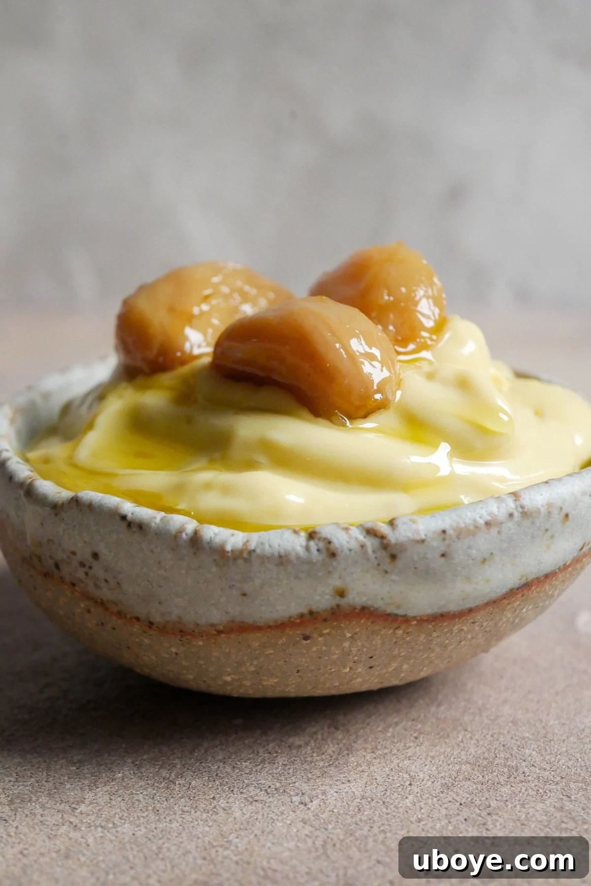 Freshly made garlic confit aioli in a serving bowl with a spoon, ready to be enjoyed.