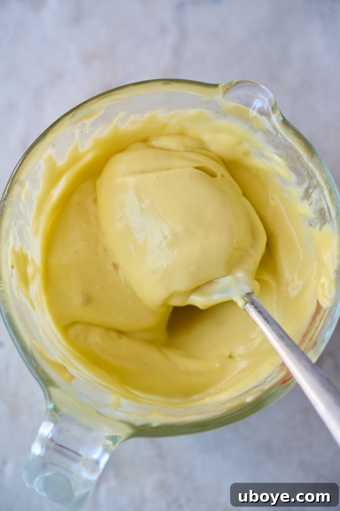 A large serving bowl filled with creamy garlic confit aioli, garnished with fresh herbs, ready for serving.