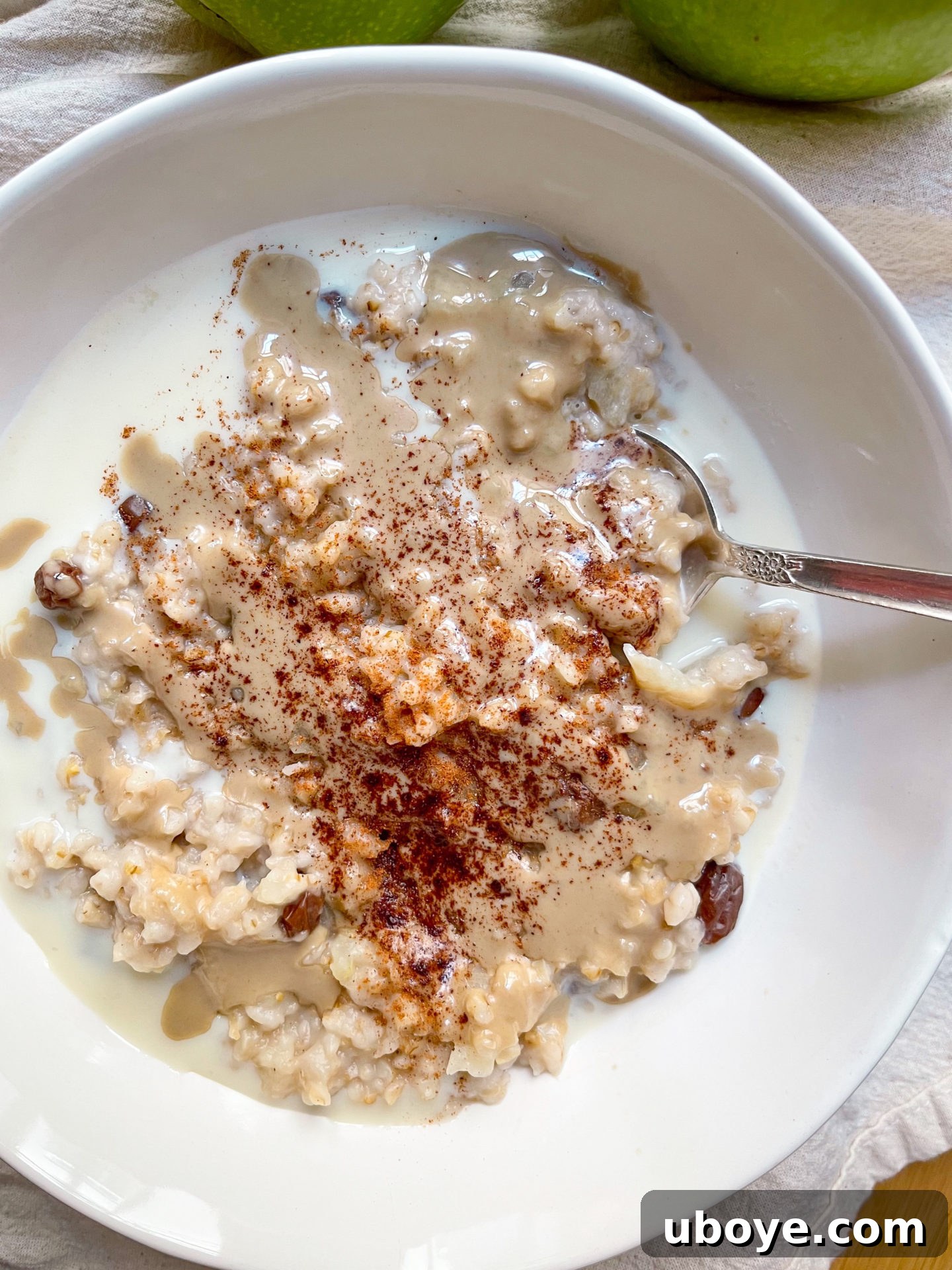 Batch Cooked Steel Cut Oats 2 serving suggestion for meal prep steel cut oatmeal recipe with toppings