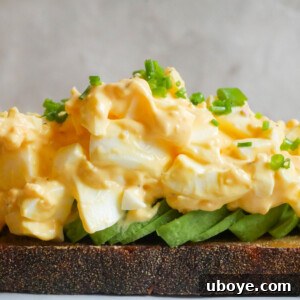 Velvety Avocado Egg Salad 7 Creamy Egg Salad with Avocado