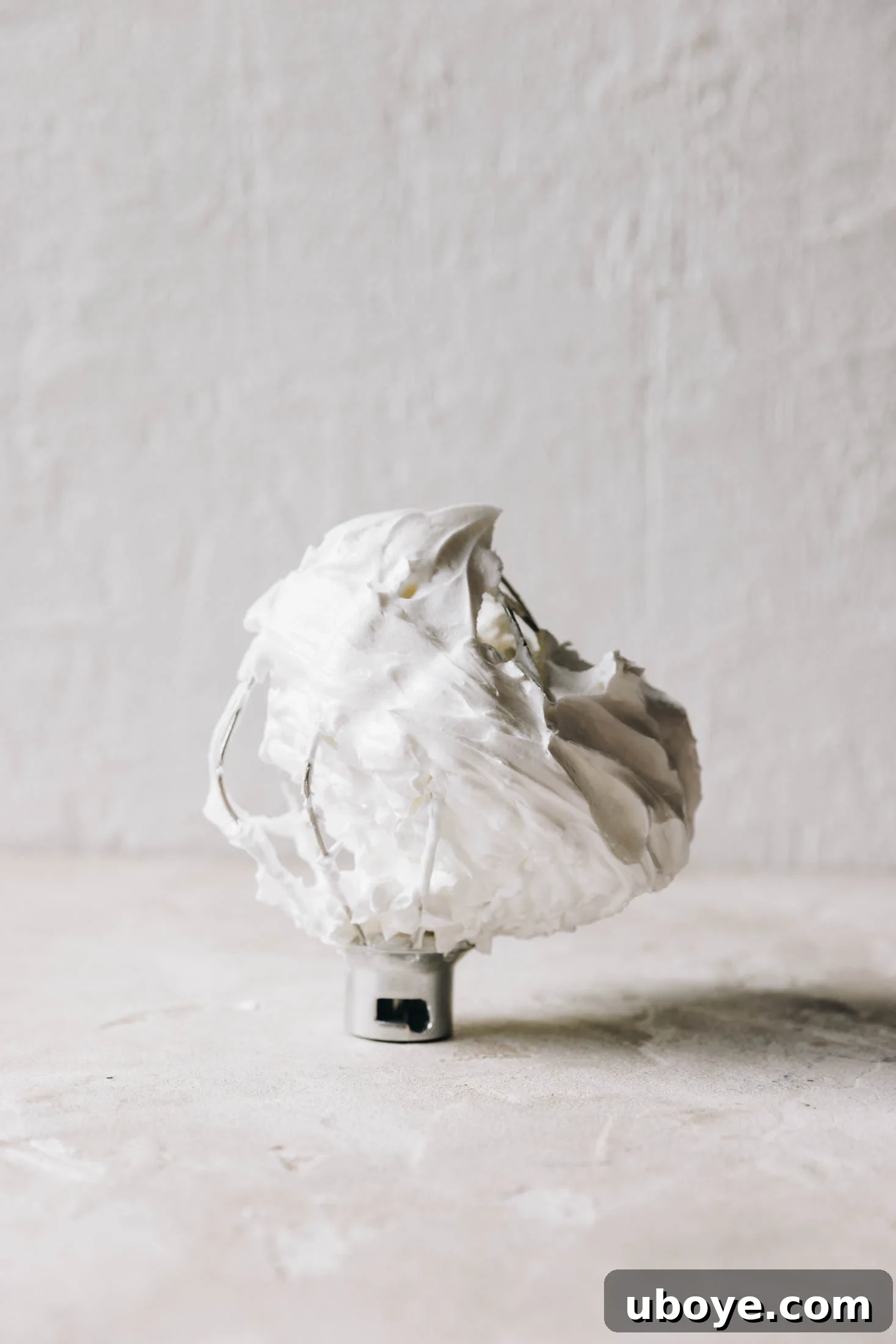You can see the attachement from a stand mixer with the meringue on it. 
