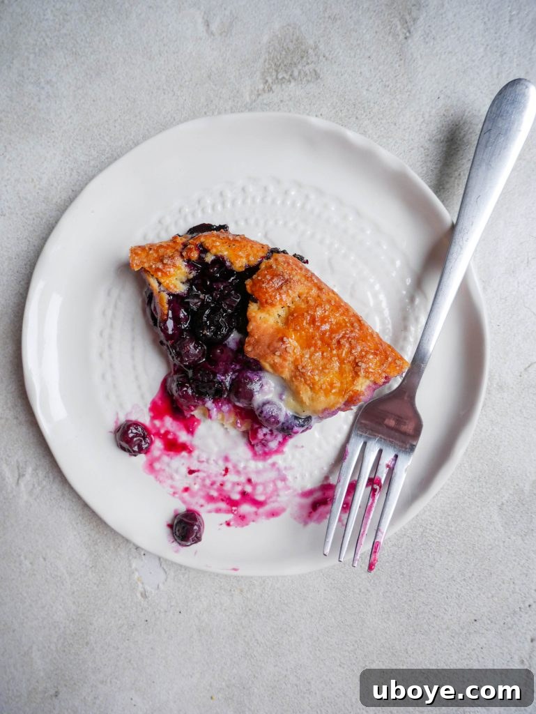 Close-up of baked Blueberry and Lemon Galette with golden crust