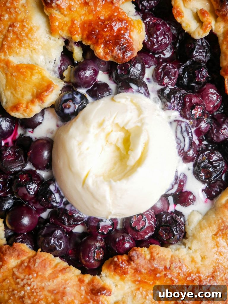 Ingredients for Blueberry and Lemon Galette laid out on a table