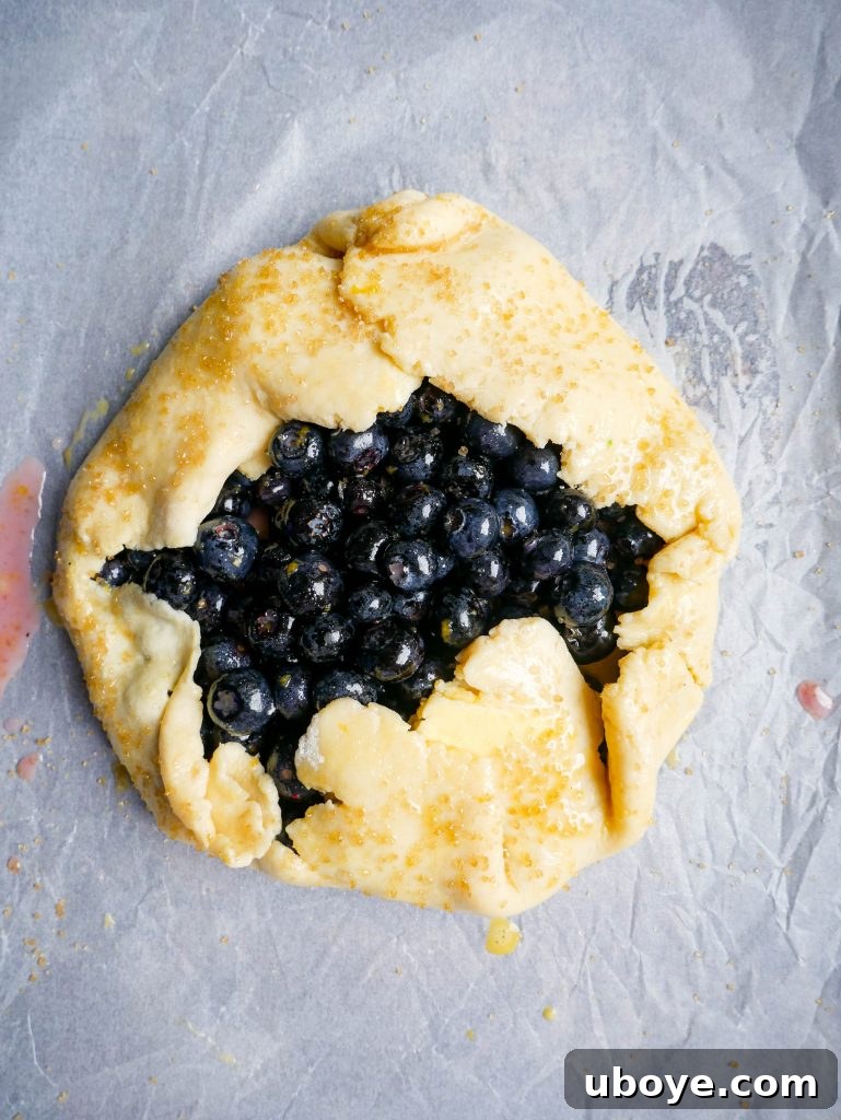 Blueberry and Lemon Galette with a scoop of vanilla ice cream