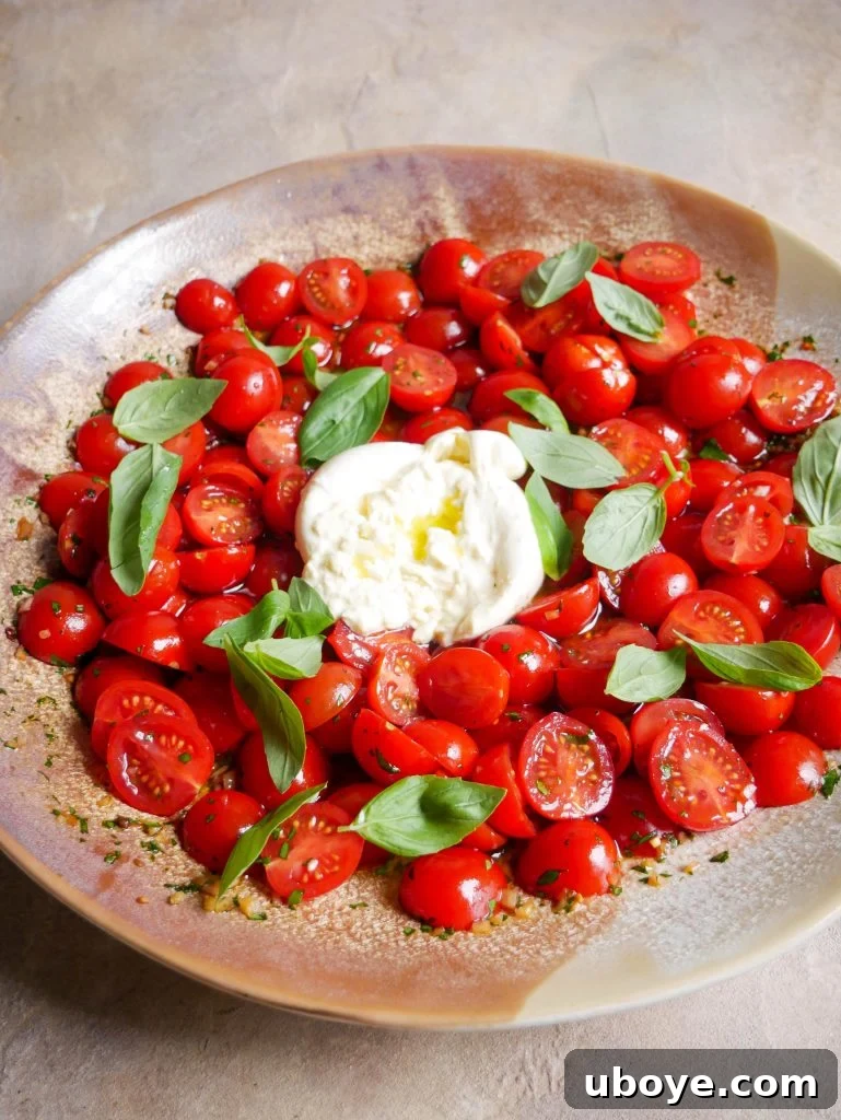 Heirloom Tomato and Creamy Burrata Bliss 2 Tomato Burrata salad in large bowl