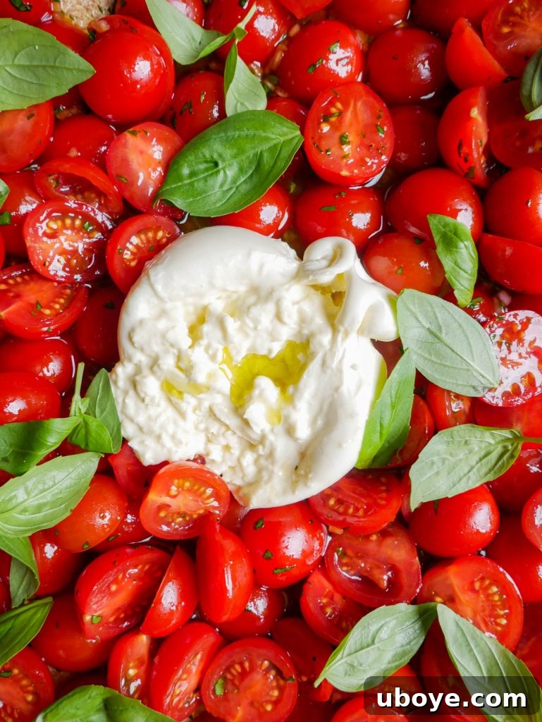Heirloom Tomato and Creamy Burrata Bliss 4 img 3591 3