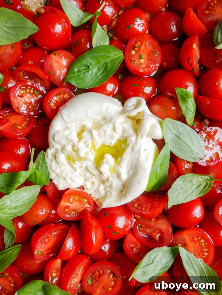 Heirloom Tomato and Creamy Burrata Bliss 7 Tomato burrata salad