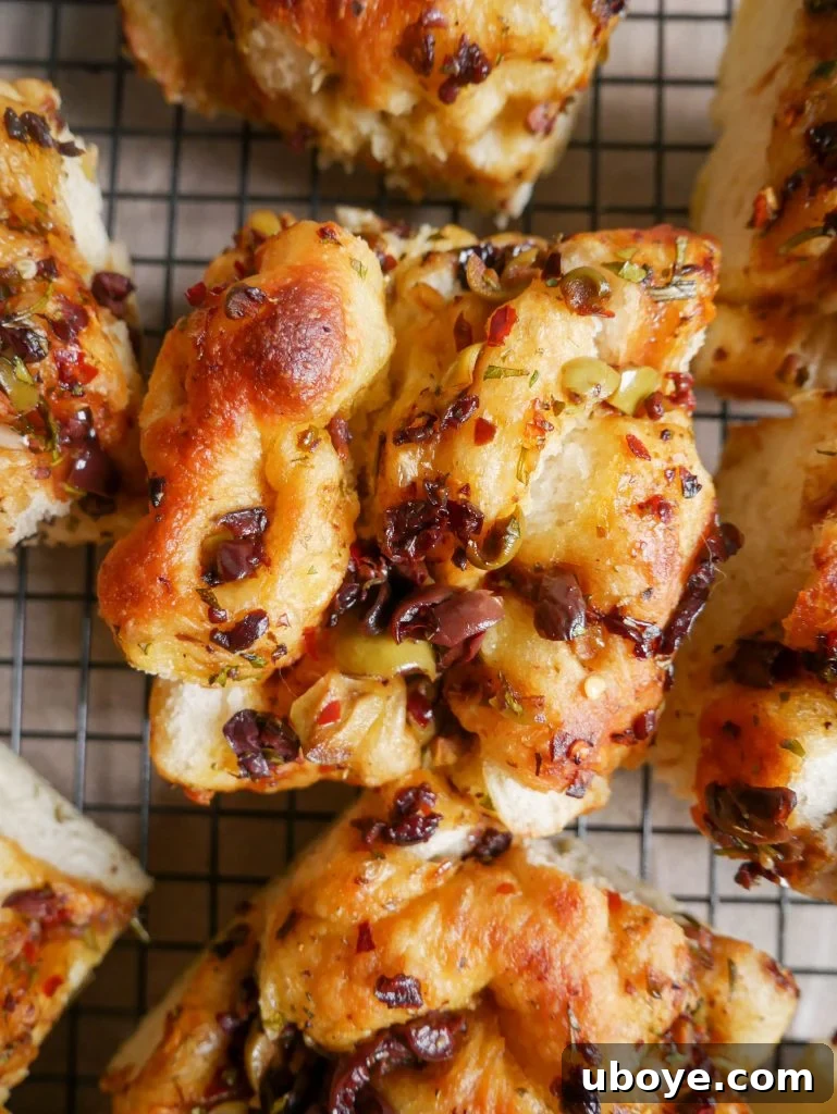 Delicious Olive, Herb and Balsamic Focaccia, golden brown and perfectly dimpled